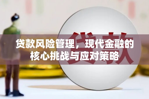 南湖贷款风险管理，现代金融的核心挑战与应对策略