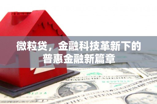南湖微粒贷，金融科技革新下的普惠金融新篇章