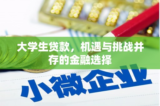 南湖大学生贷款，机遇与挑战并存的金融选择