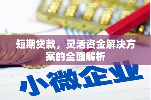 南湖短期贷款，灵活资金解决方案的全面解析