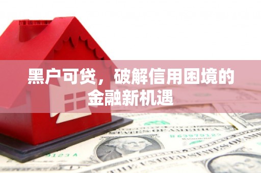 南湖黑户可贷，破解信用困境的金融新机遇