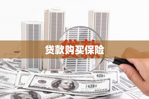 南湖贷款购买保险