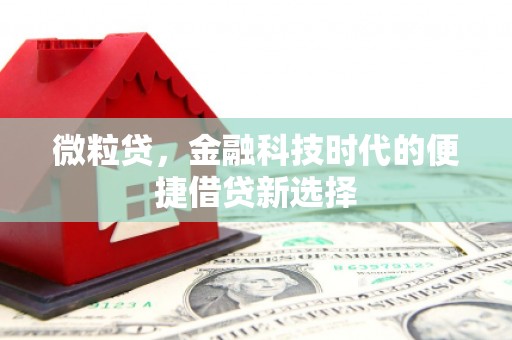 南湖微粒贷，金融科技时代的便捷借贷新选择