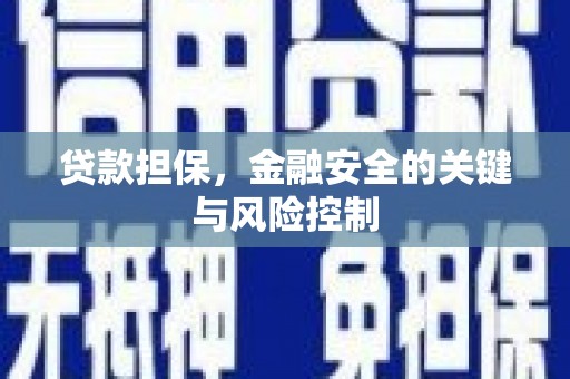 南湖贷款担保，金融安全的关键与风险控制