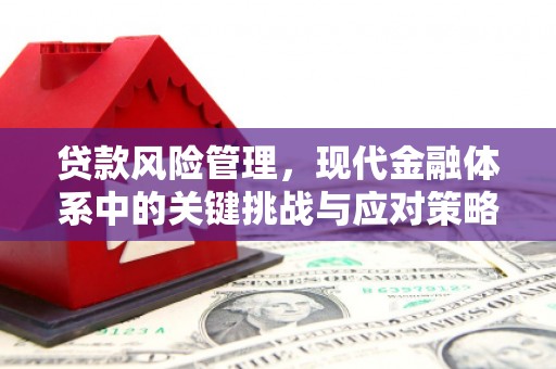 南湖贷款风险管理，现代金融体系中的关键挑战与应对策略