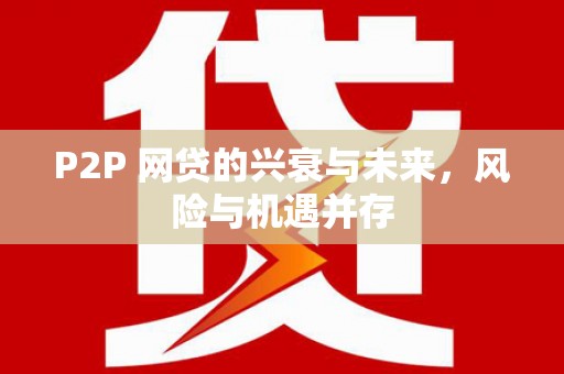 南湖P2P 网贷的兴衰与未来，风险与机遇并存