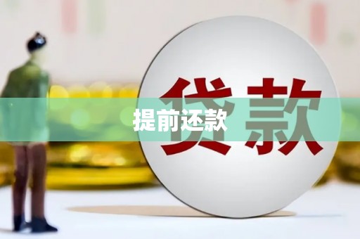 南湖提前还款