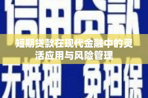 南湖短期贷款在现代金融中的灵活应用与风险管理