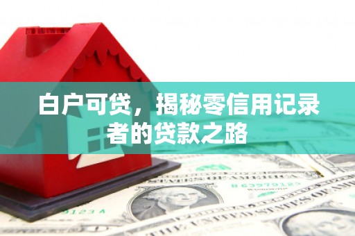 南湖白户可贷，揭秘零信用记录者的贷款之路