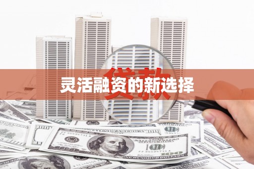 南湖灵活融资的新选择