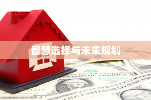 南湖智慧选择与未来规划