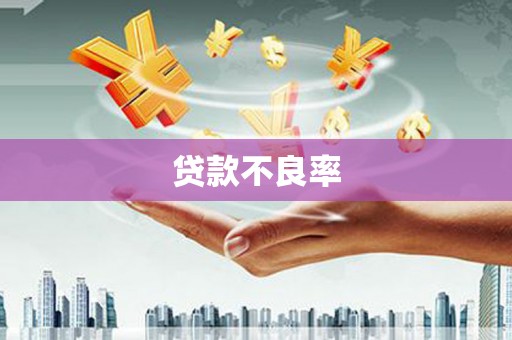 南湖贷款不良率
