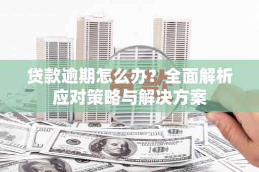 南湖贷款逾期怎么办？全面解析应对策略与解决方案