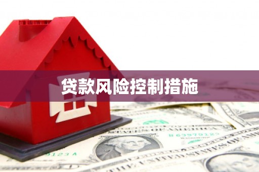 南湖贷款风险控制措施
