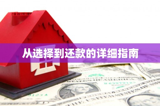 南湖从选择到还款的详细指南