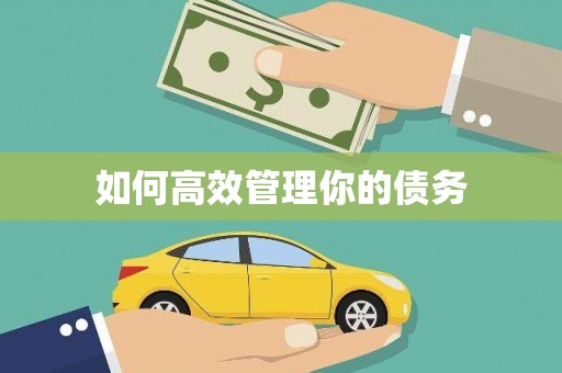 南湖如何高效管理你的债务