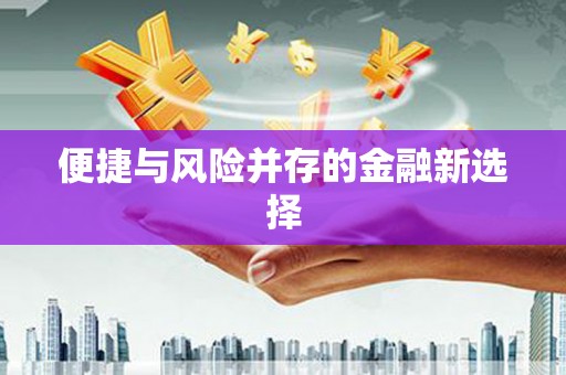 南湖便捷与风险并存的金融新选择