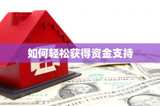 南湖如何轻松获得资金支持