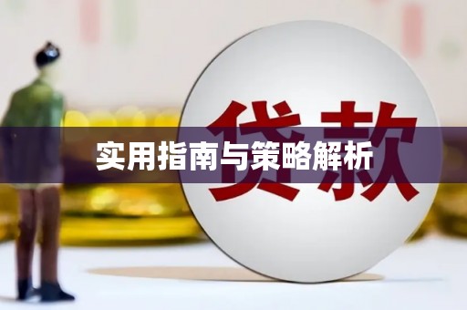 南湖实用指南与策略解析