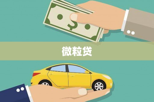 南湖微粒贷