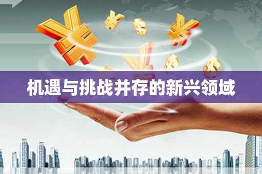 南湖机遇与挑战并存的新兴领域