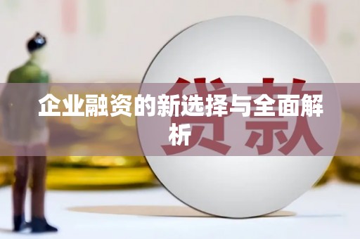 南湖企业融资的新选择与全面解析