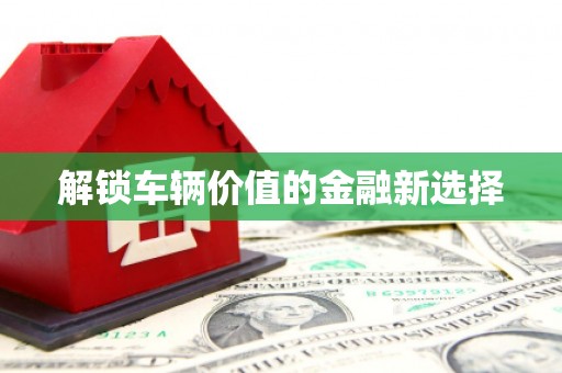 南湖解锁车辆价值的金融新选择