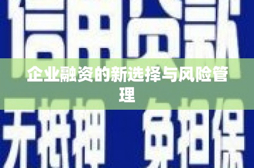 南湖企业融资的新选择与风险管理