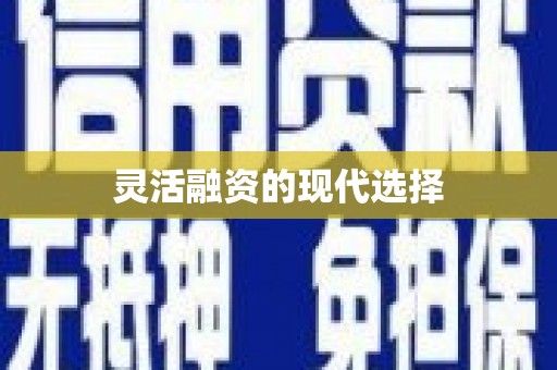 南湖灵活融资的现代选择