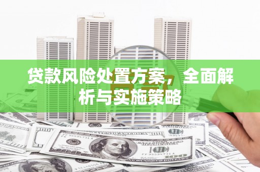 南湖贷款风险处置方案，全面解析与实施策略