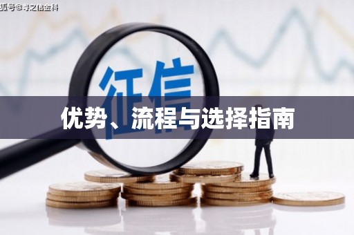 南湖优势、流程与选择指南