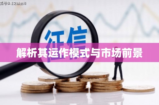 南湖解析其运作模式与市场前景