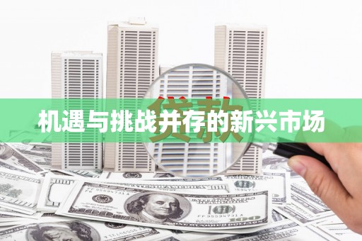 南湖机遇与挑战并存的新兴市场