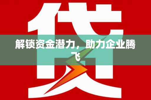 南湖解锁资金潜力，助力企业腾飞