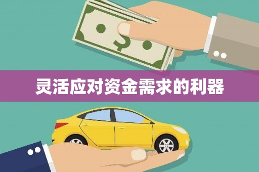 南湖灵活应对资金需求的利器