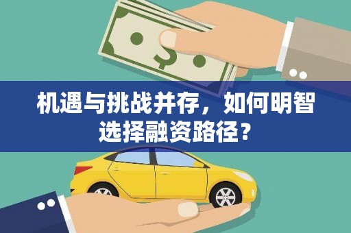 南湖机遇与挑战并存，如何明智选择融资路径？
