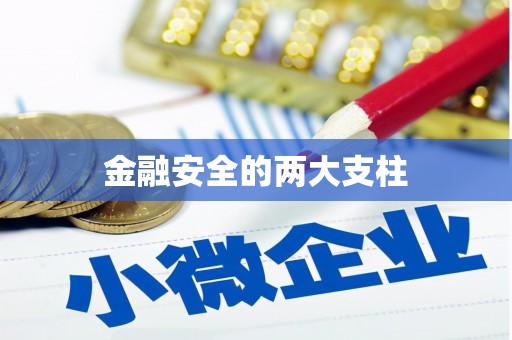 南湖金融安全的两大支柱