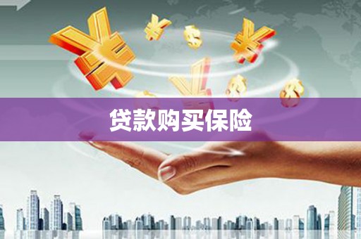 南湖贷款购买保险