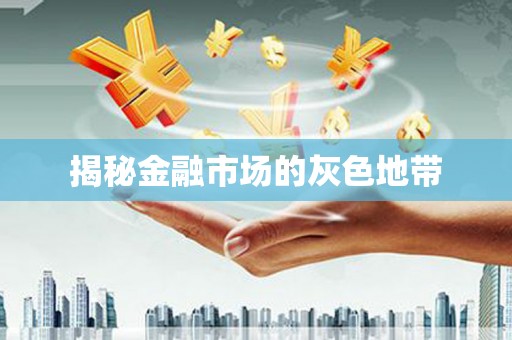南湖揭秘金融市场的灰色地带