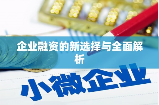 南湖企业融资的新选择与全面解析