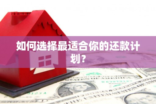 南湖如何选择最适合你的还款计划？