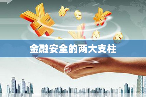 南湖金融安全的两大支柱
