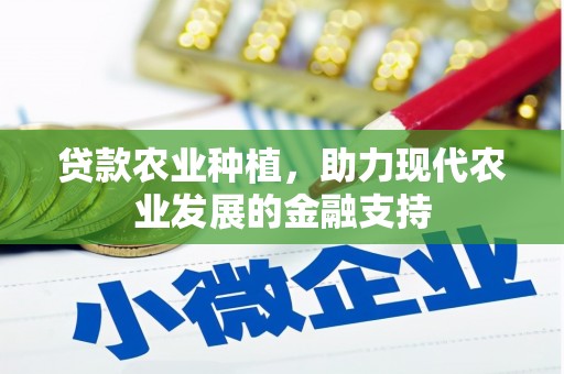 南湖贷款农业种植，助力现代农业发展的金融支持