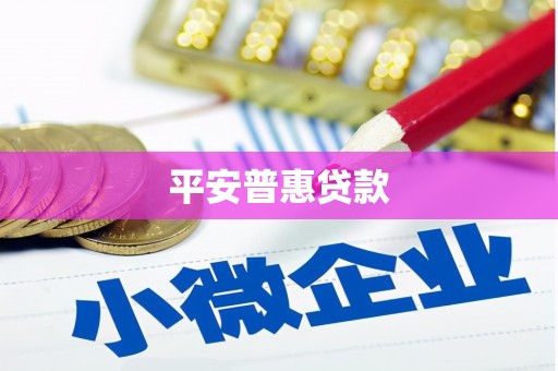 南湖平安普惠贷款
