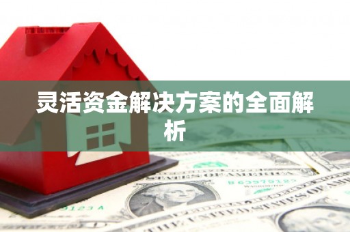 南湖灵活资金解决方案的全面解析
