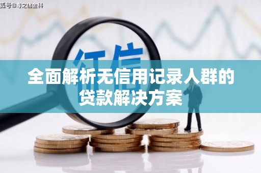 南湖全面解析无信用记录人群的贷款解决方案