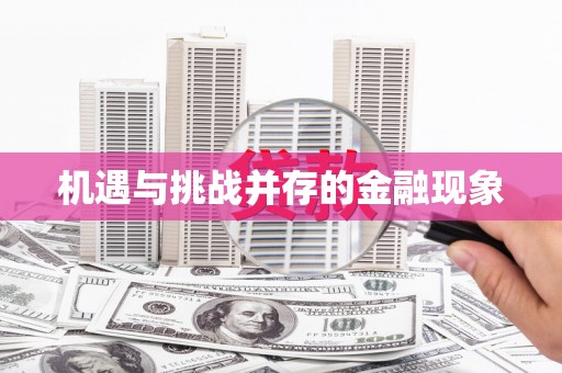 南湖机遇与挑战并存的金融现象