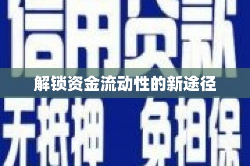 南湖解锁资金流动性的新途径