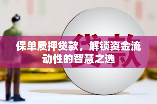 南湖保单质押贷款，解锁资金流动性的智慧之选
