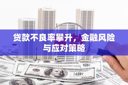 南湖贷款不良率攀升，金融风险与应对策略